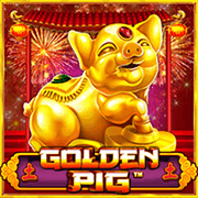Chú Heo Vàng icon