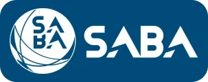 Visa partner logo